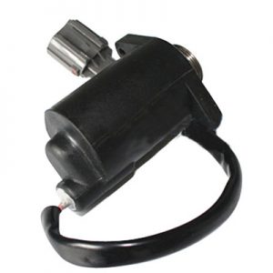 MARŞ SELENOİDLERİ