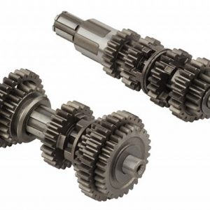 ŞANZUMAN DİŞLİLERİ